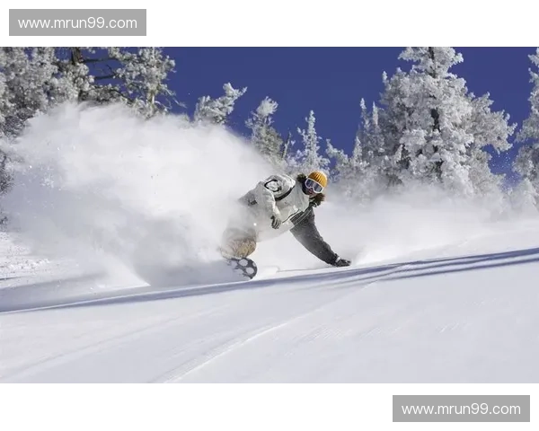 冰上奇迹：探索滑冰运动的魅力与发展趋势